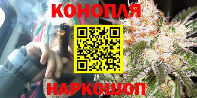 мдпв Брянск