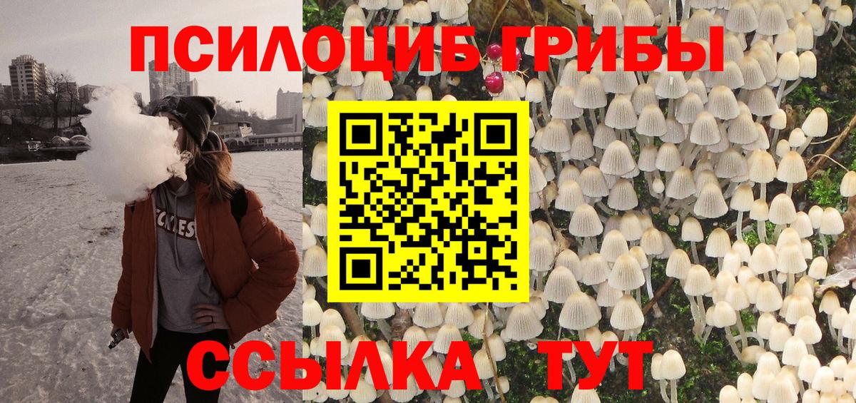 Псилоцибиновые грибы Psilocybe  Вход с VPN  Галлюциногенные грибы мицелий  даркнет сайт  Брянск 