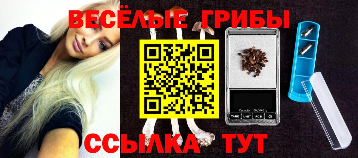 Галлюциногенные грибы прущие грибы Брянск